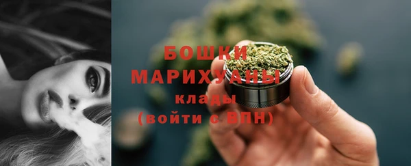 молекула духа Протвино