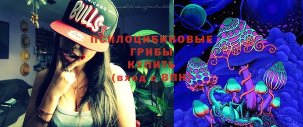 ГАЛЛЮЦИНОГЕННЫЕ ГРИБЫ Алзамай