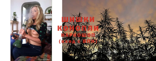молекула духа Протвино