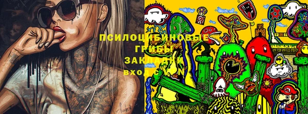 ГАЛЛЮЦИНОГЕННЫЕ ГРИБЫ Пролетарск