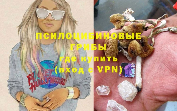 бошки Приозерск