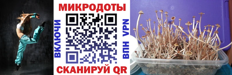 Псилоцибиновые грибы ЛСД  маркетплейс официальный сайт  Минусинск 